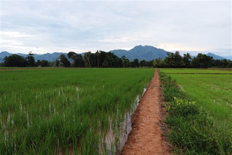 pagadian to bukidnon|Discover how to get to Pagadian from anywhere. .